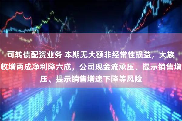 可转债配资业务 本期无大额非经常性损益，大族激光半年报营收增两成净利降六成，公司现金流承压、提示销售增速下降等风险