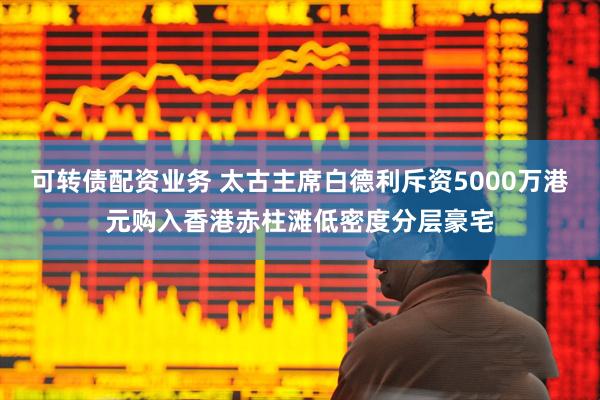可转债配资业务 太古主席白德利斥资5000万港元购入香港赤柱滩低密度分层豪宅