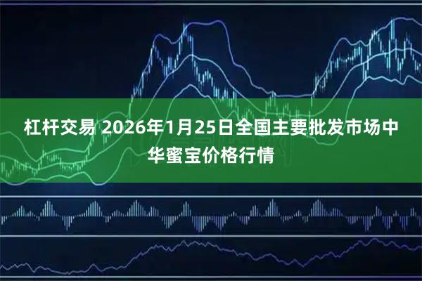 杠杆交易 2026年1月25日全国主要批发市场中华蜜宝价格行情